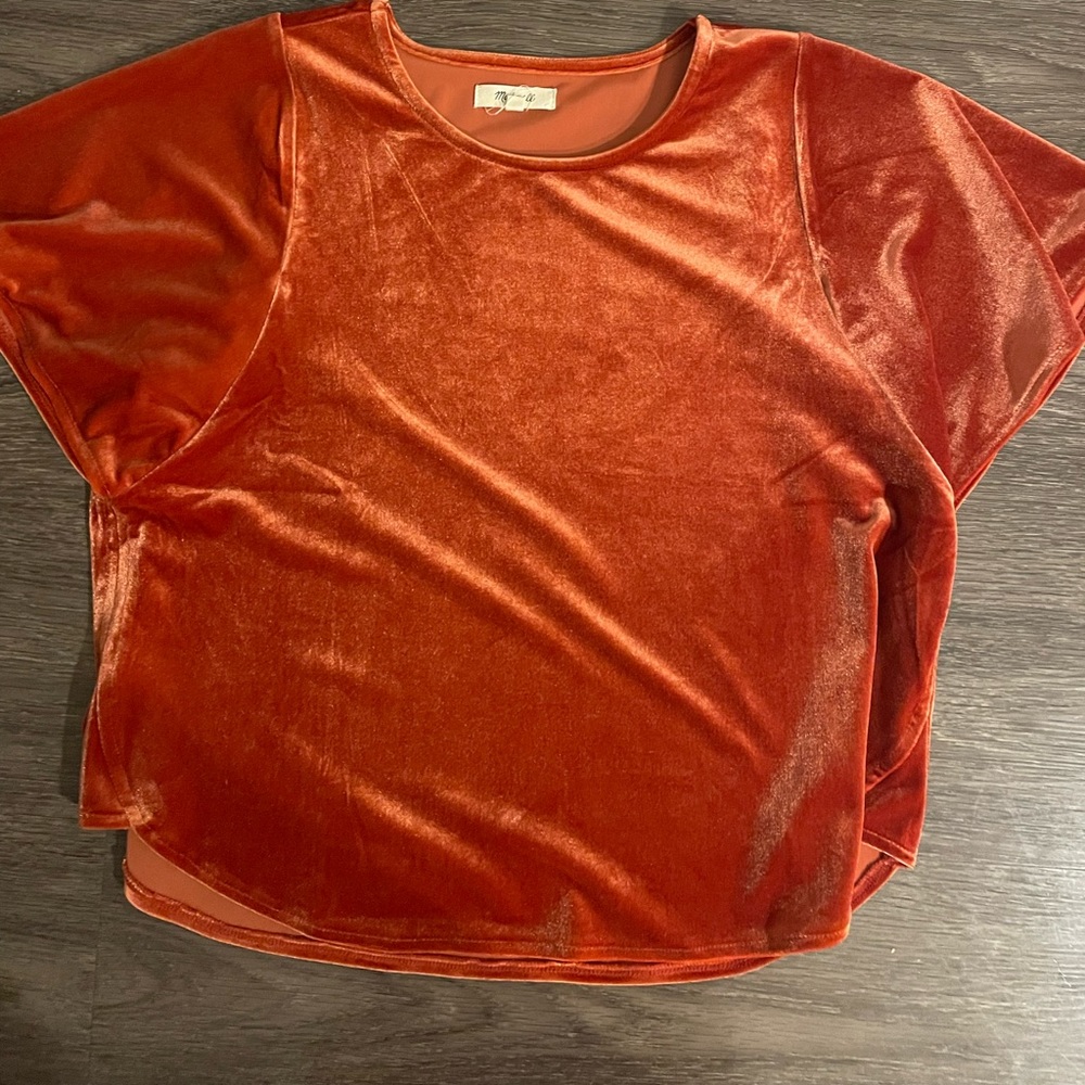 Crushed velvet vibrant top. Madewell. Small.